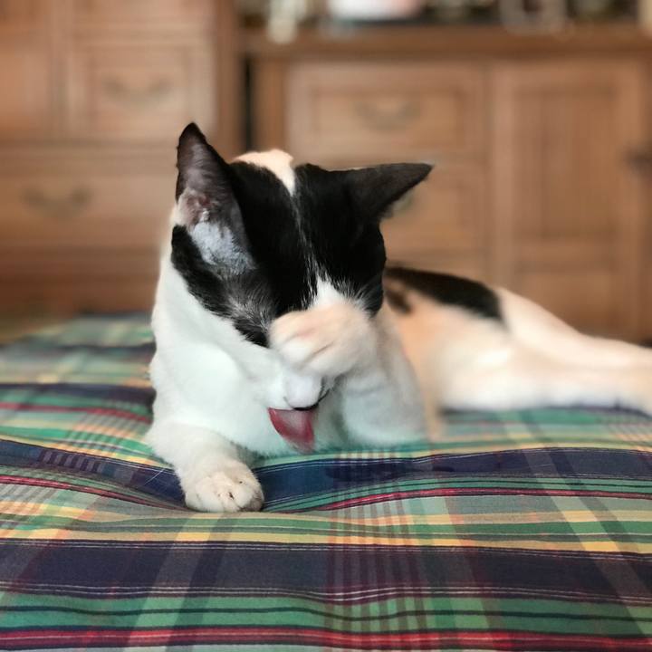 0f346708 7121 4909 bc3e 504dad25b3f8 1553222183082