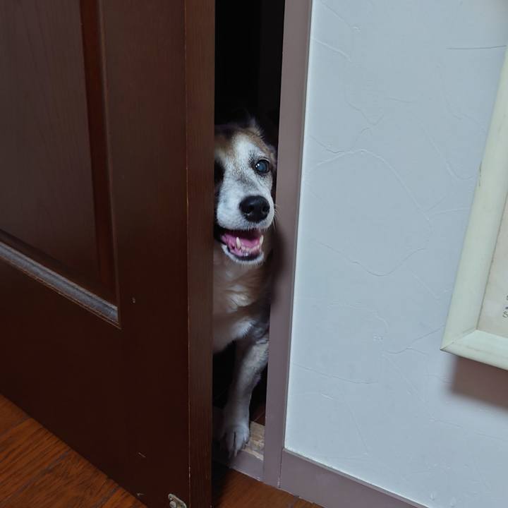 0f347d7e 43c9 426e a804 7f0bf12547fb 1657503720118