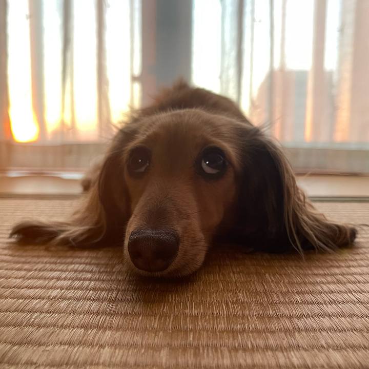 0f348f43 ebca 4d40 bbdd 38b26b9bedea 1698306543828