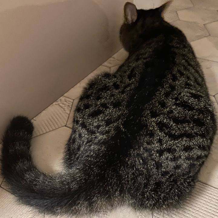 0f3492a5 d91b 42f4 a0f0 af6c5aa6833c 1633095798300