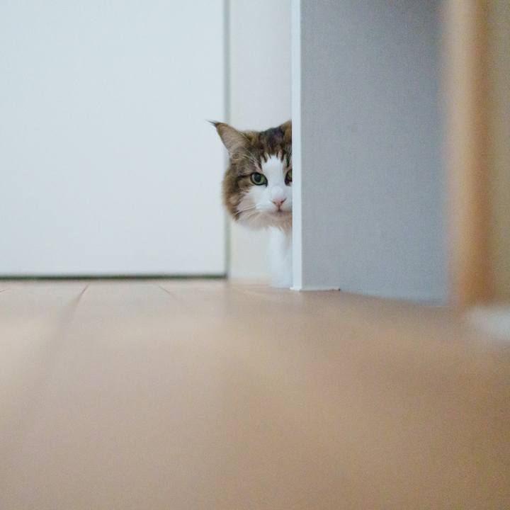 0f349f34 6bca 4545 8300 2e1e3ebbfbee 1764820601924