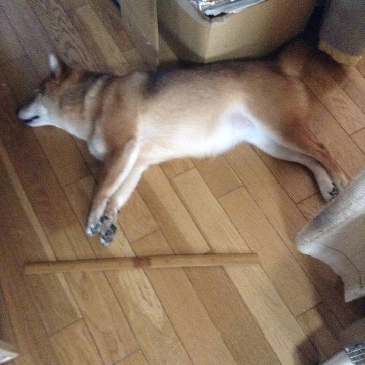 0f34bbb9 bf08 413f 8991 e3122db7ec75 1532137091619