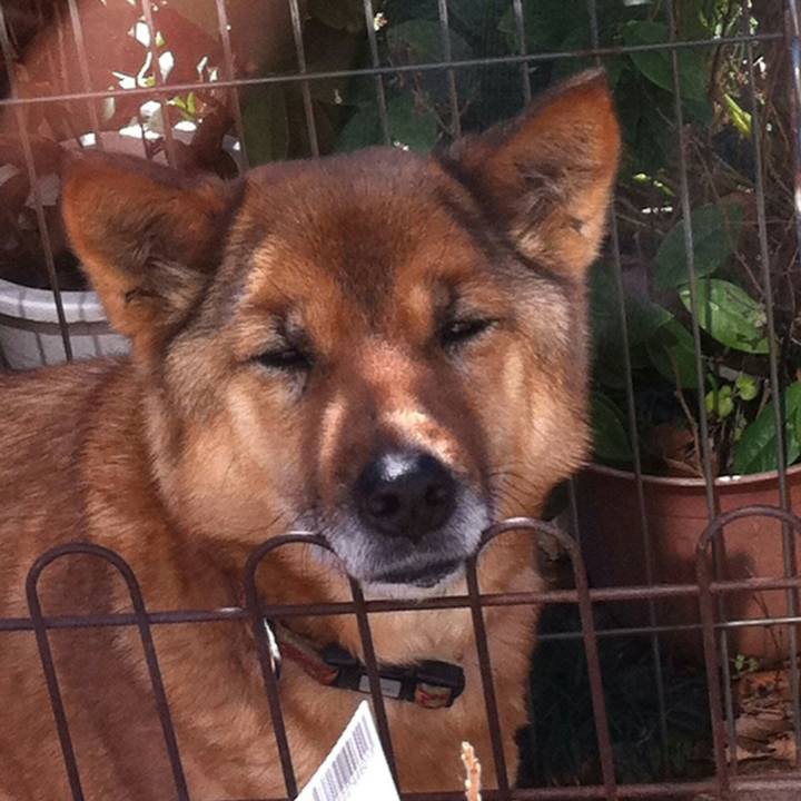 0f34c527 f233 47b0 97e7 b46b70c39669 1544581882950