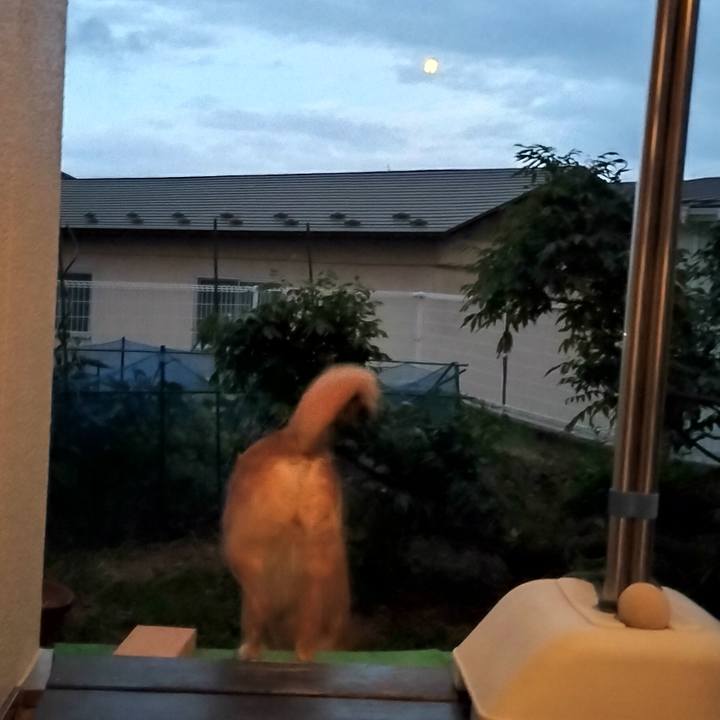 0f34cc74 ae1d 4319 b684 9cd82f0b5a7f 1759756436184