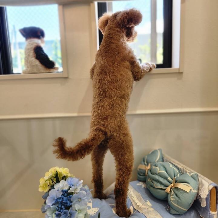 0f34ee9a 49a6 4947 8a5e ce32552ba599 1685784150979