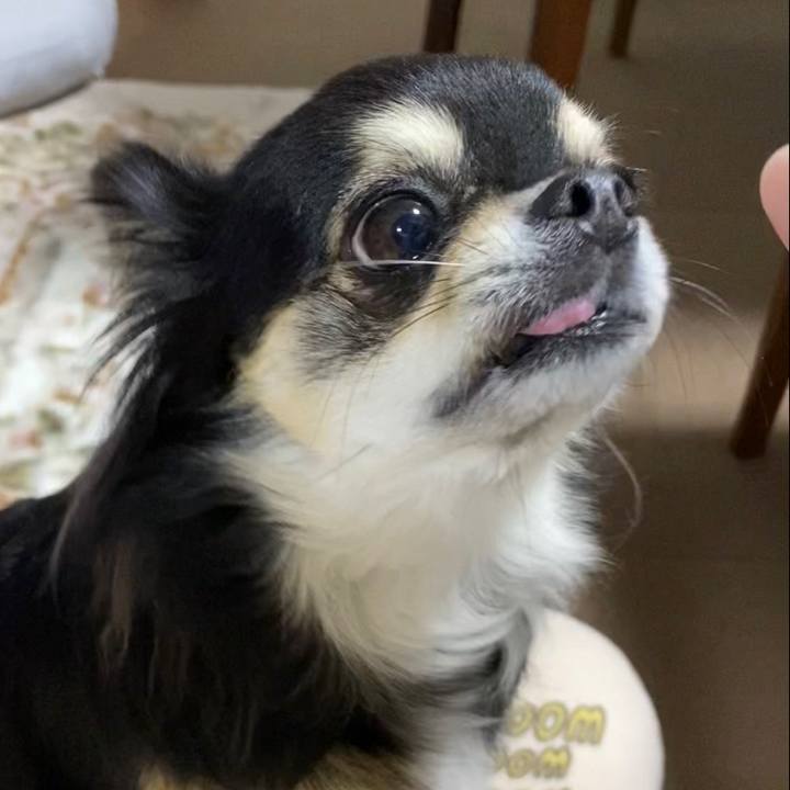 0f34f90a 6d25 4f4b 9cf2 8459e2ef3496 1641854842081