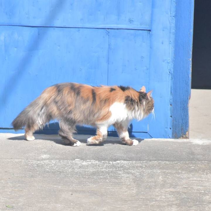 0f350278 9507 4911 ad5d 00febfe13cf7 1521254219510