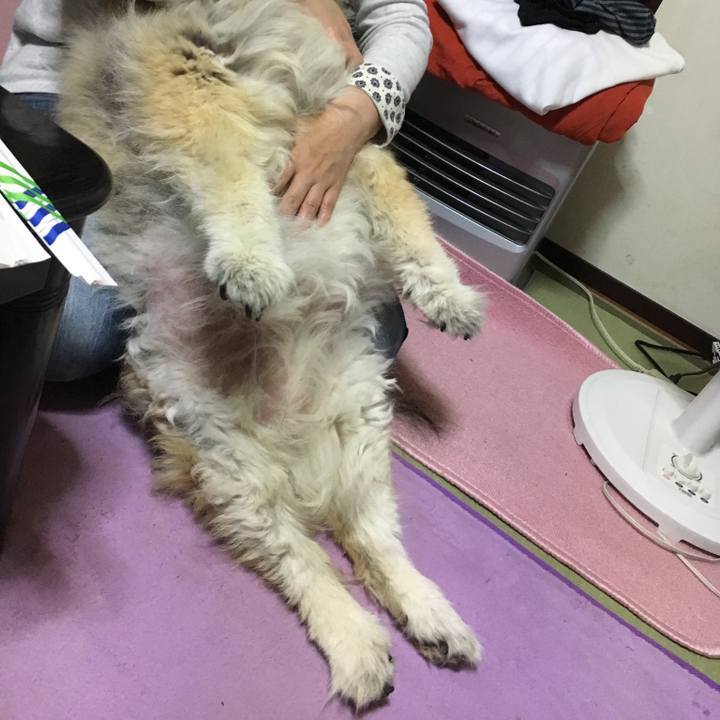 0f350637 3c95 4d8c 8244 bf5d0bd36bc7 1585073316698