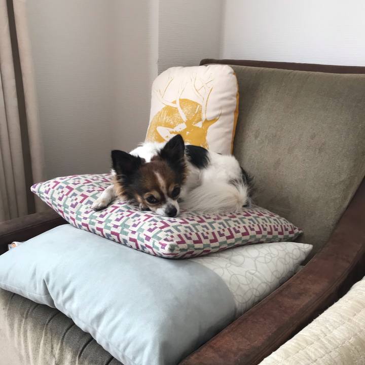 0f3515ad 91f1 4773 b8b1 485eaf8ce3b0 1542946001685