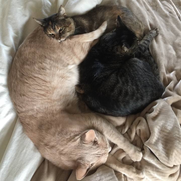 0f352aef 243d 4301 a395 5221e9406b72 1546953108098