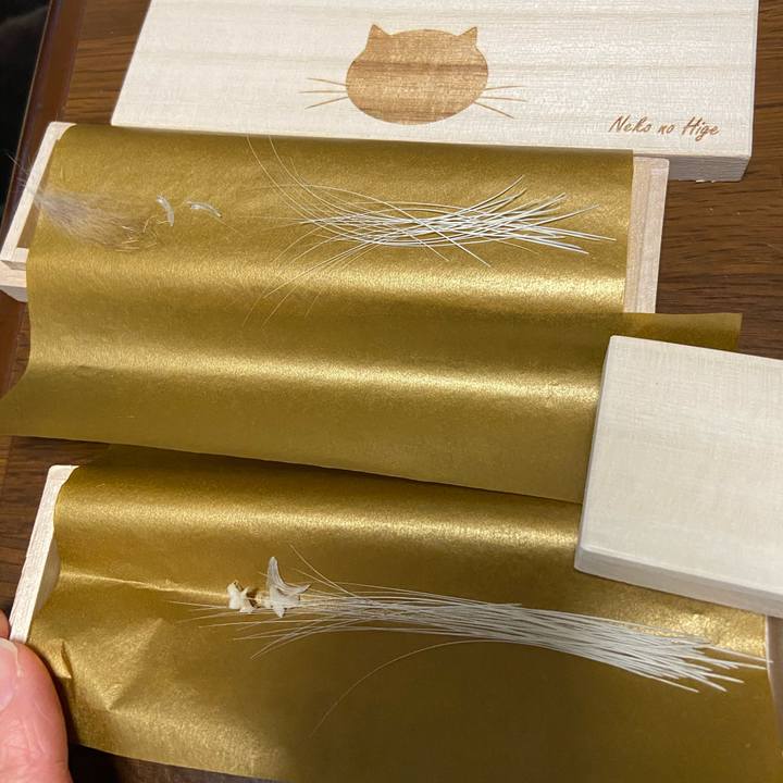 0f354fbd 6a8c 46fb a32b 4d61aa23102e 1610709569186