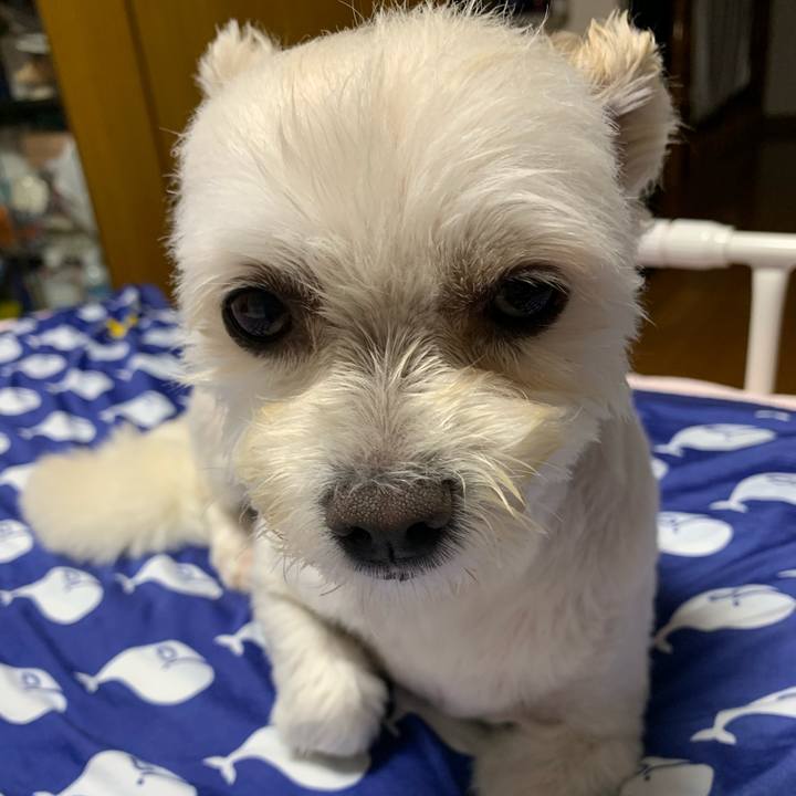 0f356075 9095 461a b952 19a755e6ca5a 1594386049773