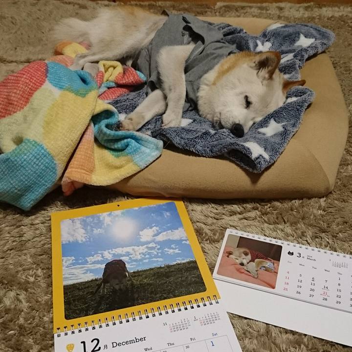 0f357934 40b9 4e19 90bc d61a343104fd 1510923513194