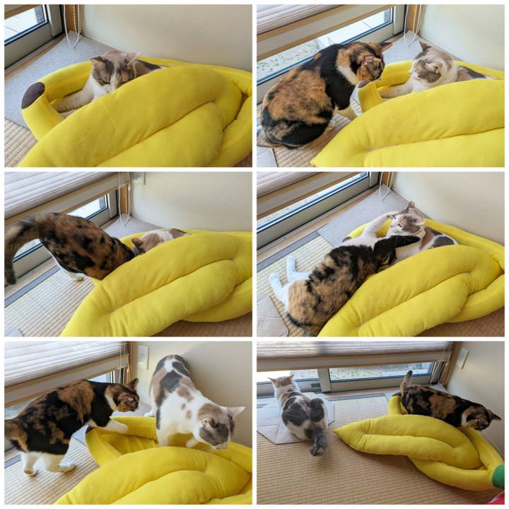 0f358794 7f63 477f b54c e041325812a9 1692938360327