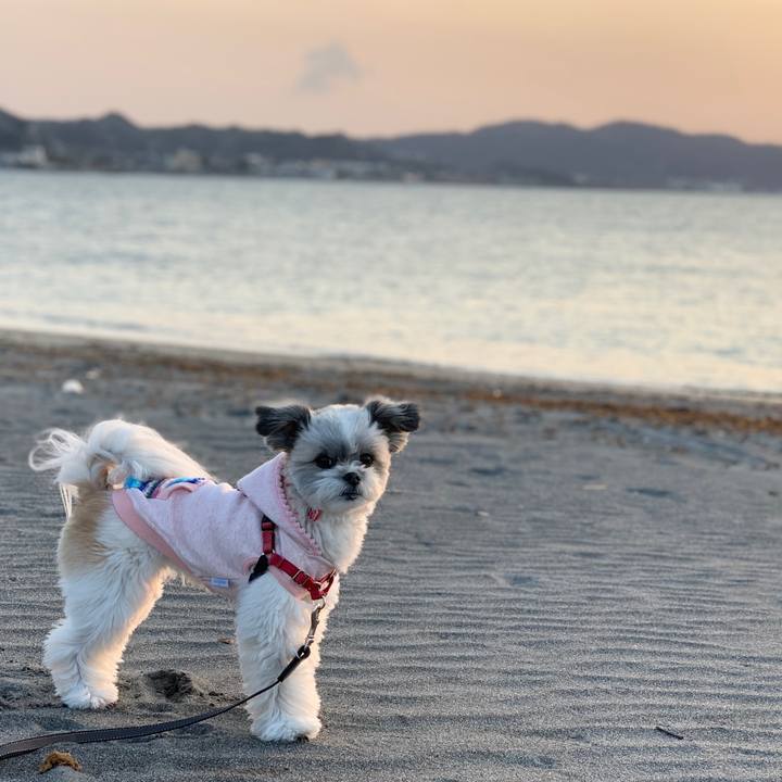 0f35a478 dd73 4dd0 8d91 29dbecee9807 1616770562192