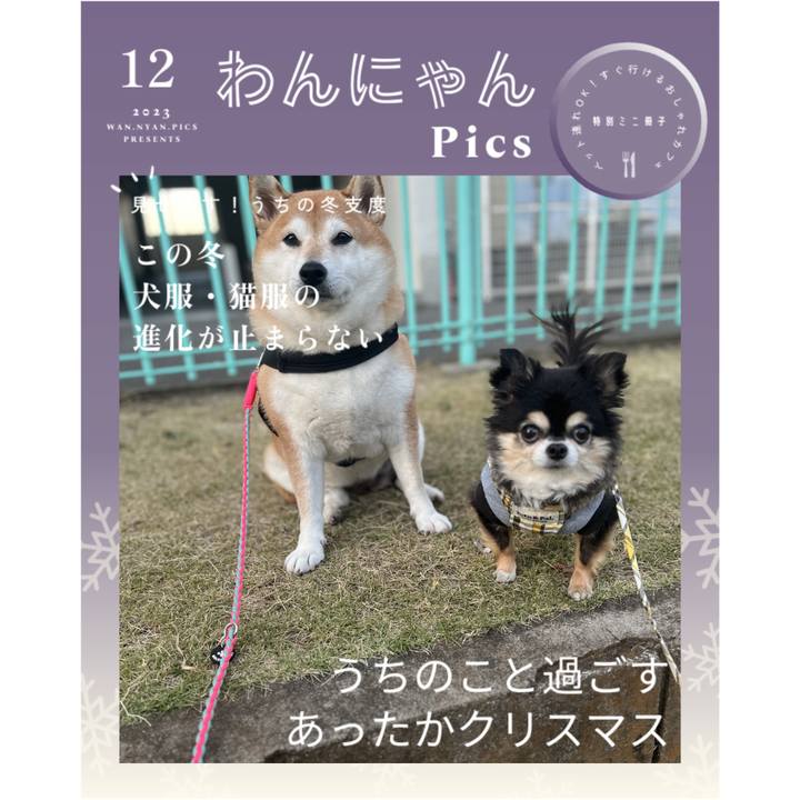 0f35c2b8 f144 457f 8ef2 b71097e8a3e9 1701763293198