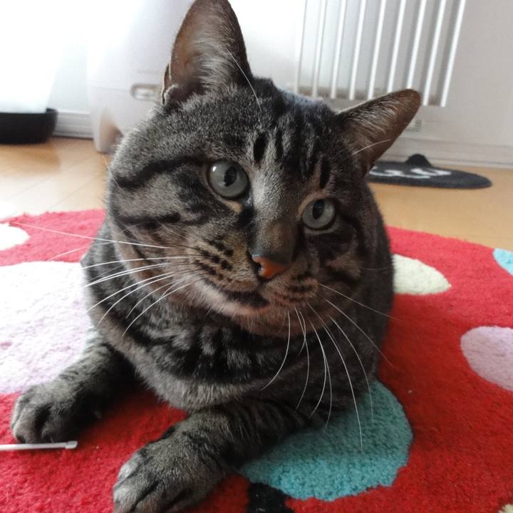 0f35d16c c412 4eac b038 59db127a8329 1612824823746