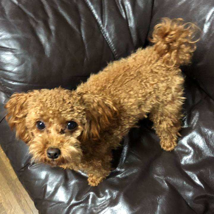 0f365642 3e87 4386 b3d0 60e0cb46a169 1512166012608