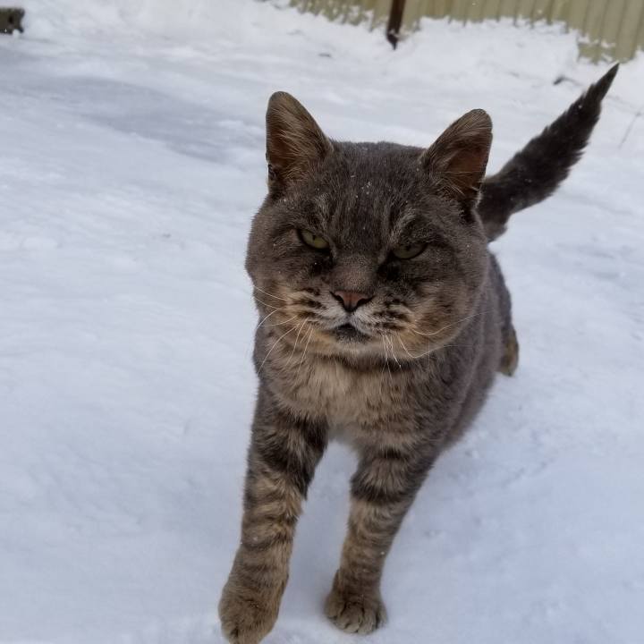 0f36b07e 95ff 4ea6 8de8 028f3a246416 1548170059326