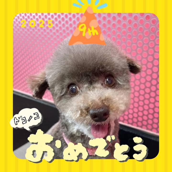 0f36c5de 8d19 4fec 800c fb0a68ce022a 1749096205488