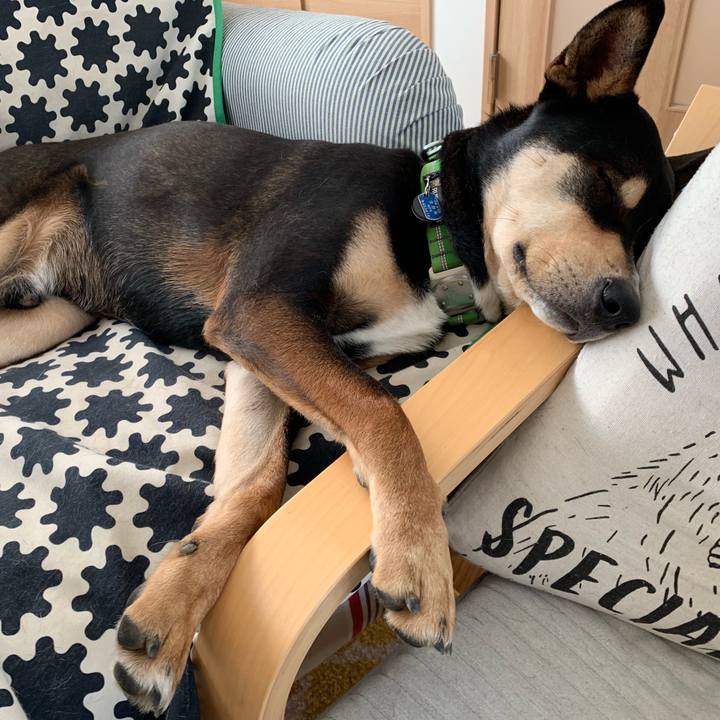 0f3712b0 7771 49d9 8dae c1040dec484e 1551750702577