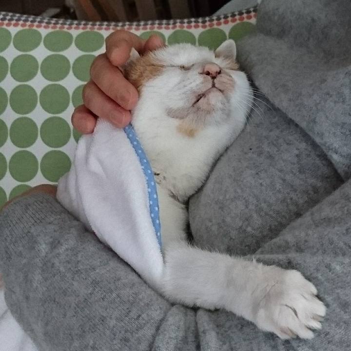 0f3760f9 bd77 4481 aa2b 2e226d739abd 1641813422880