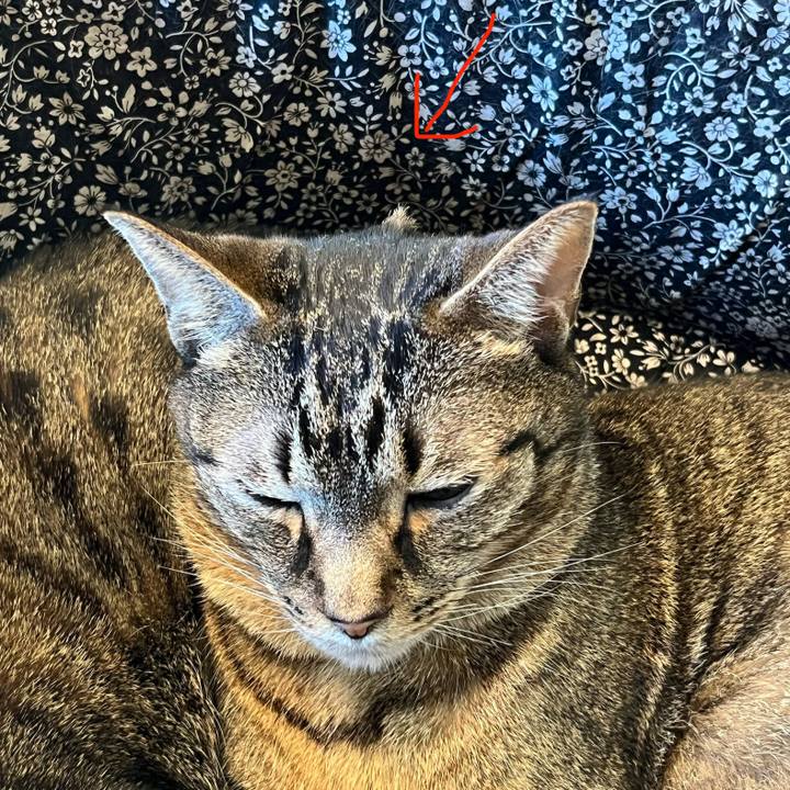 0f376cee 8bf4 4257 95fc a7a307d79810 1773535457378