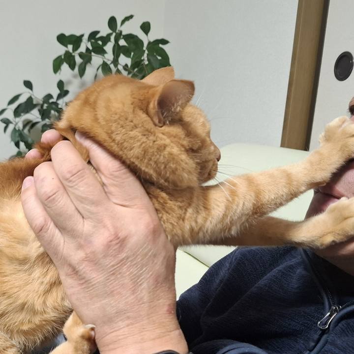 0f37a5ef 6b3e 491a 9535 24f10e62f0a1 1739168407487