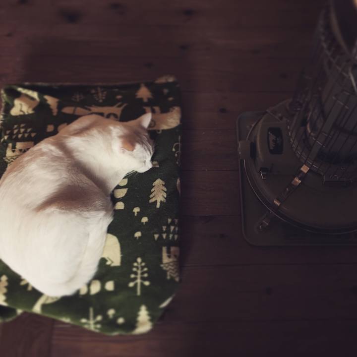 0f37ee6c 82c0 418c ba10 1d85e609bc0b 1511219372656