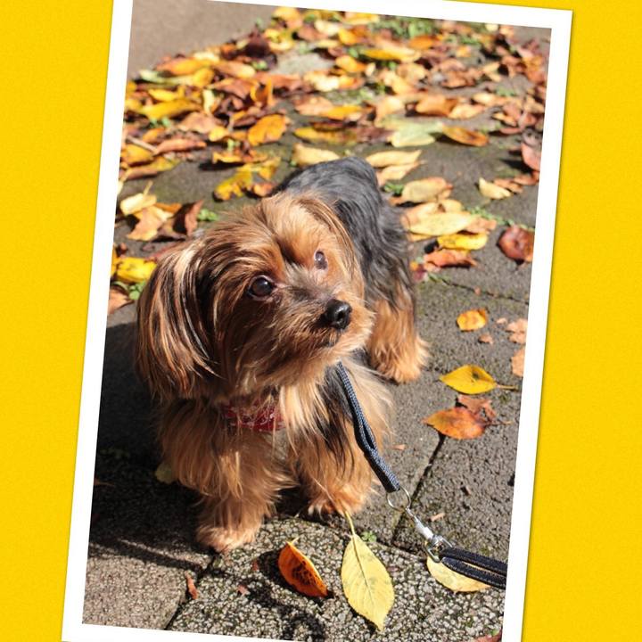 0f37f9ea b85a 4820 8db6 8e12c17ebce6 1537758539072