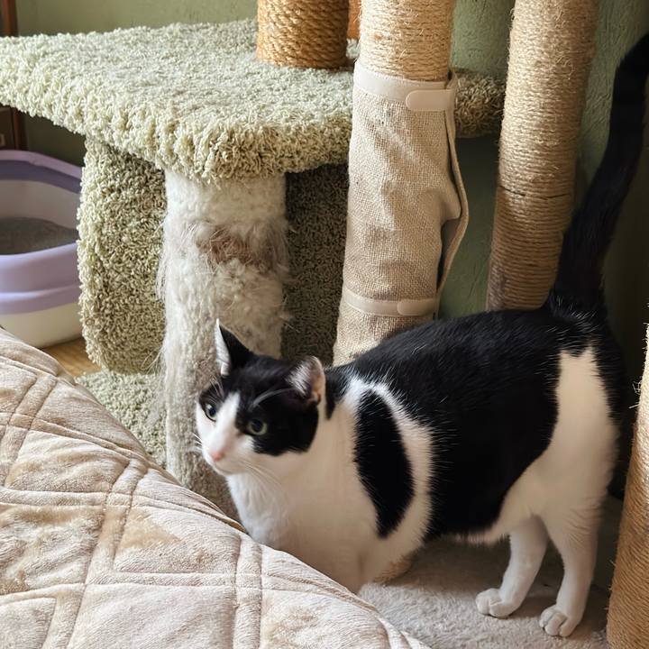 0f3822a4 6c6d 458a a9e0 a780ebcf4ec1 1667529435773