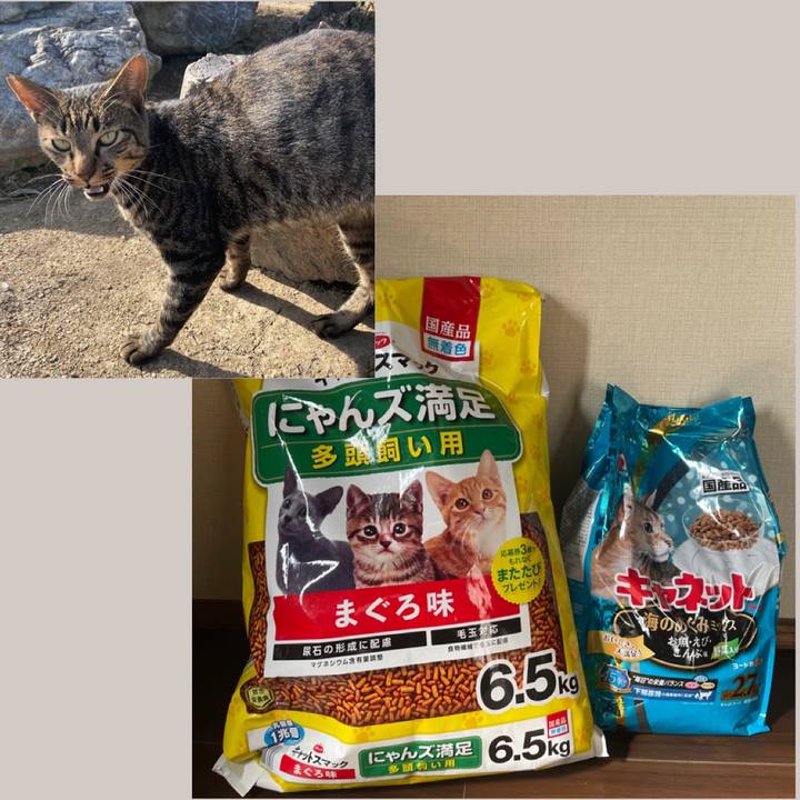 0f383dc9 e071 4ac9 ac1e a6be2948c0fa 1728883671024