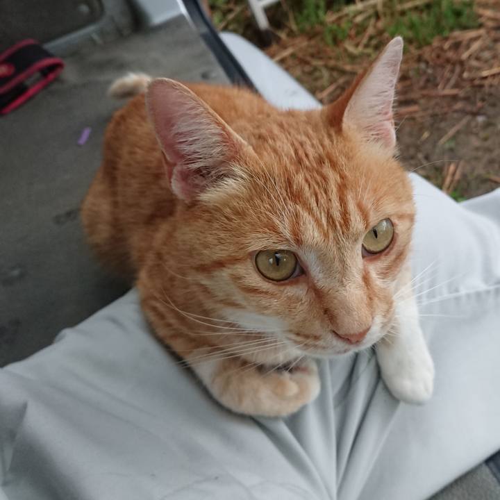 0f386943 7730 4c3f 8370 c8ff02edbded 1594111647779