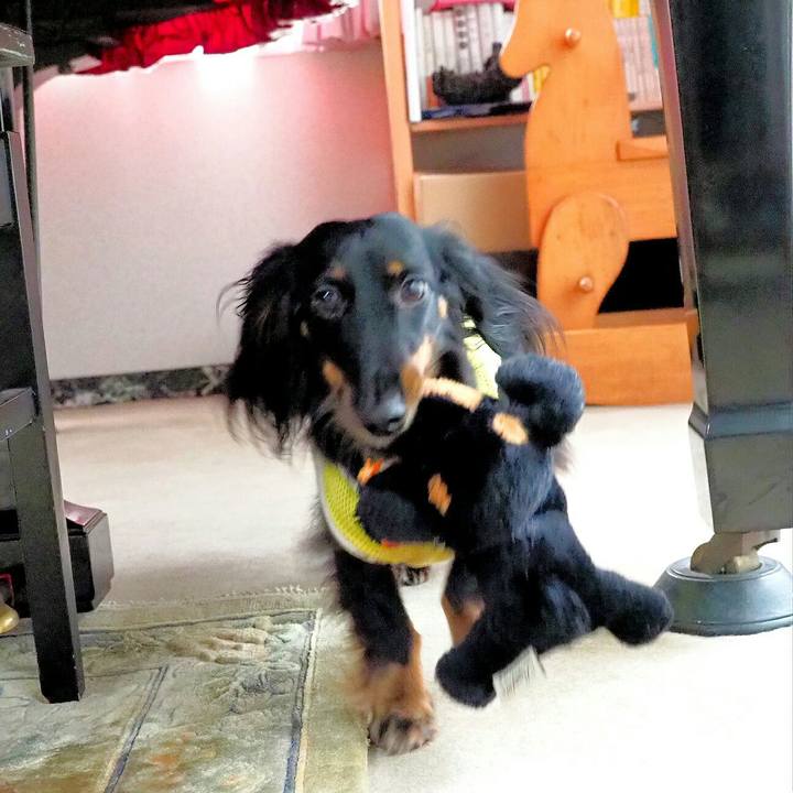 0f38a004 4fe5 4cad 8c26 5e1aa3551ecb 1532657853932