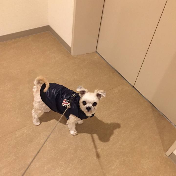 0f38c3ee 285b 4115 87e3 641b10398649 1547638582016