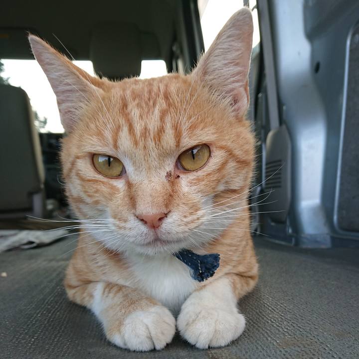 0f397aa2 2f69 49a0 87dc 50bb06c2ba4c 1562576619200