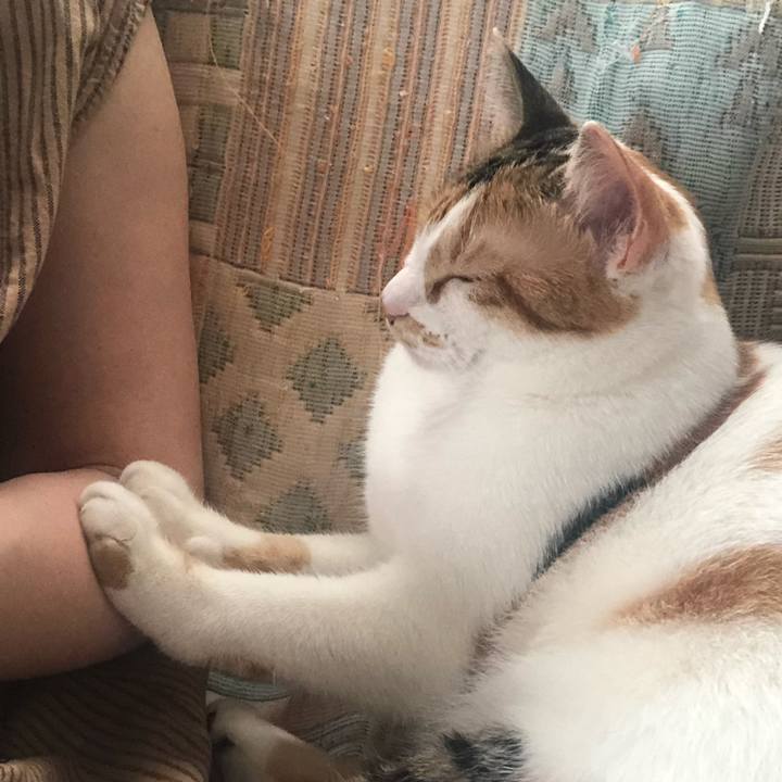 0f3987d8 7db4 4a09 92eb 261e059cd6b0 1589596311122