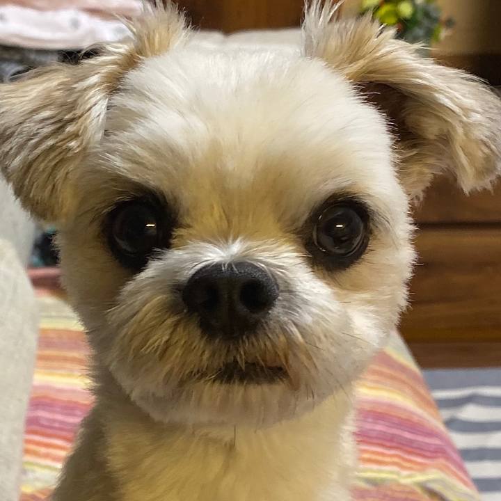 0f39a589 84b3 4108 a839 8eef734d412a 1569142058271