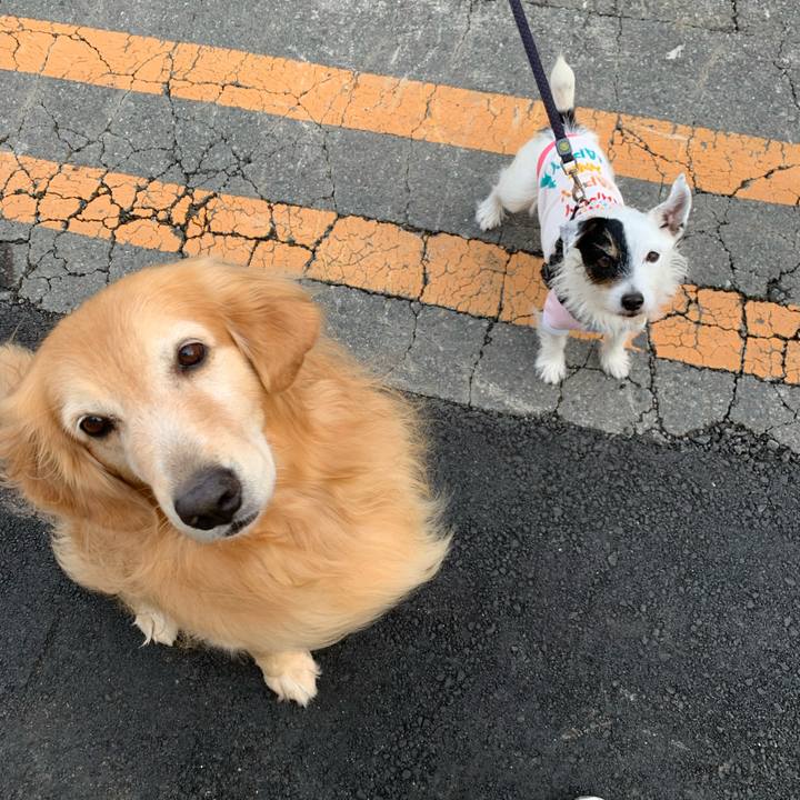 0f39d51a 4f2b 4aa5 8537 fc43a01d919b 1731714374354