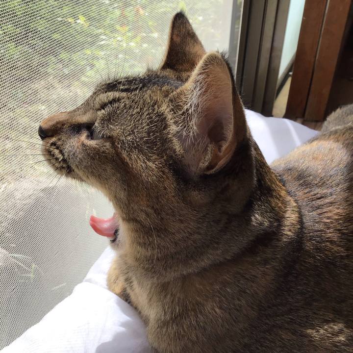 0f3a43cb 277d 449e b411 c979e320ae0e 1584755255038