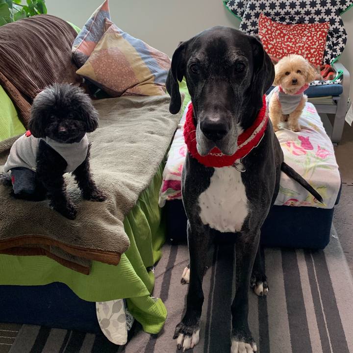 0f3a5278 38c9 405c 8f9a 869bd45b6c6f 1551826719135