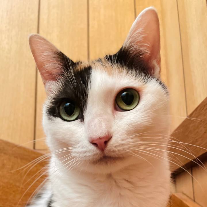 0f3a8fa8 691d 4520 ab46 439b70832376 1658192328457