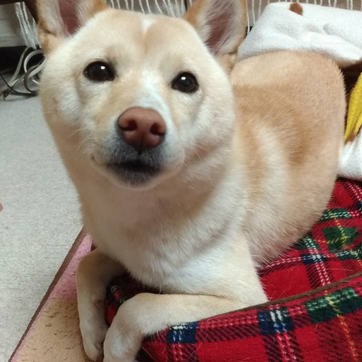 0f3ab3a5 4ad2 4d2e 9b12 7d75c16b475a 1542720708298