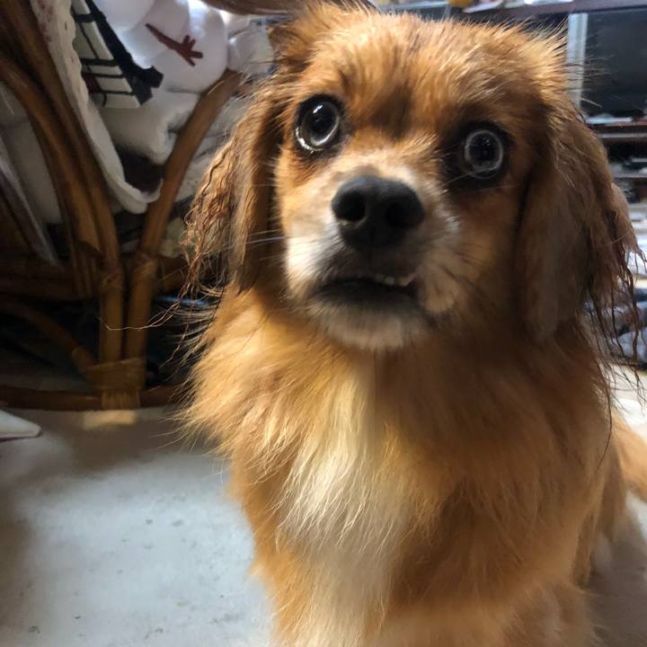 0f3acf2b dda3 471d a264 5c506a8188a8 1534805566068