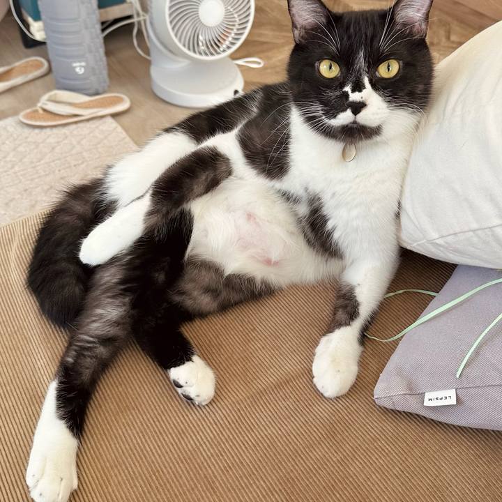 0f3ad7d4 0c75 47bb bfed 84a5aed6718b 1761961974507