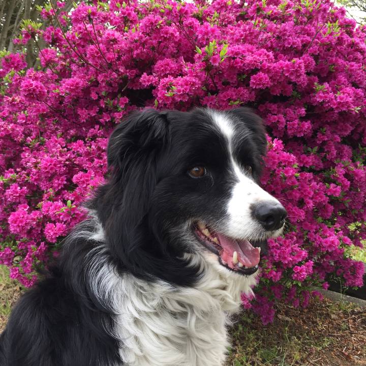 0f3af342 a92c 4015 b883 0eb385b2e0ee 1587427294155