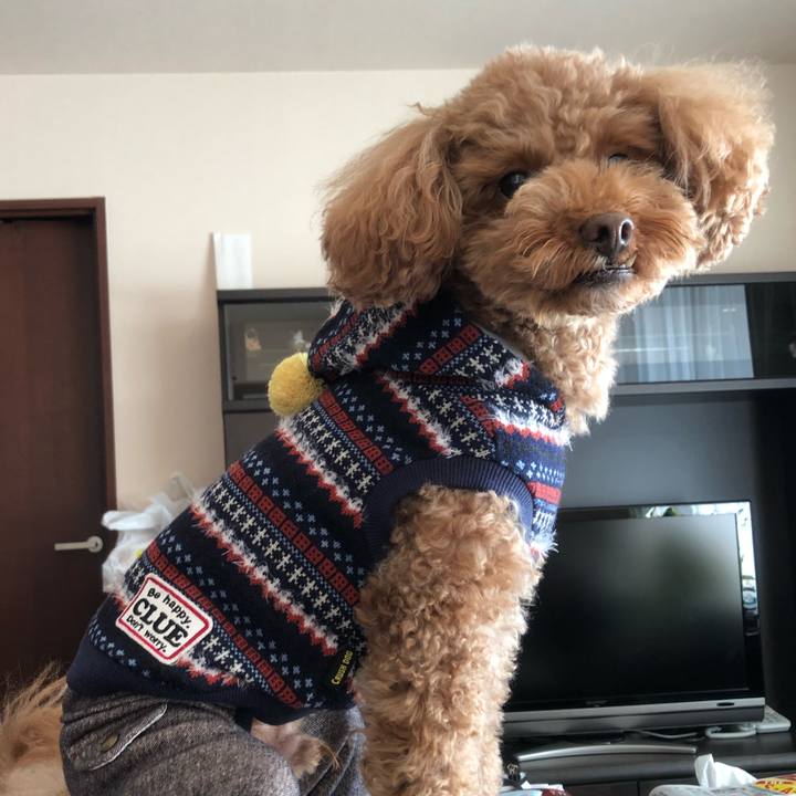 0f3af8af ceca 4a85 86d2 2e7d22406adf 1514859670071