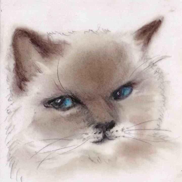 0f3afe39 e093 4d1d 89fe a2e5450ab8f7 1648910519267