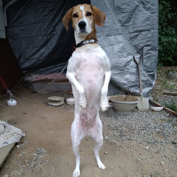 0f3b3993 abf3 4d14 8a99 607298b8bdfd 1634650859706