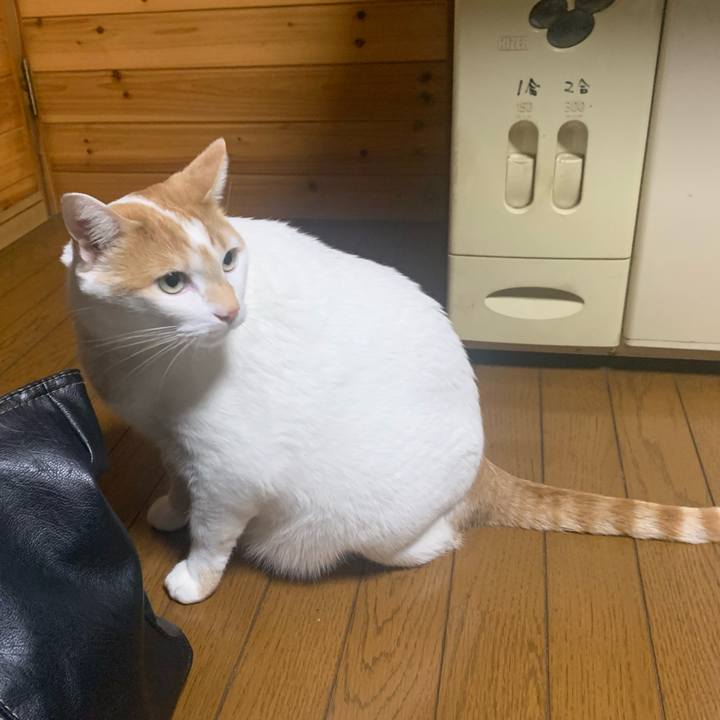 0f3b3c92 4499 4e8e beb2 6f64909c719a 1578224124056